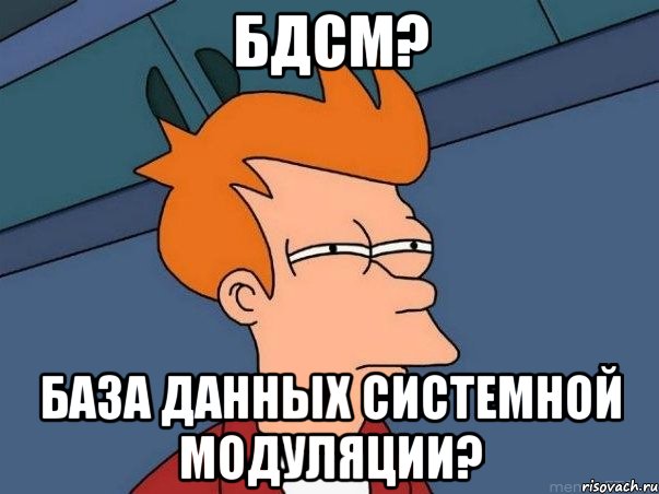 БДСМ? База Данных Системной модуляции?, Мем  Фрай (мне кажется или)