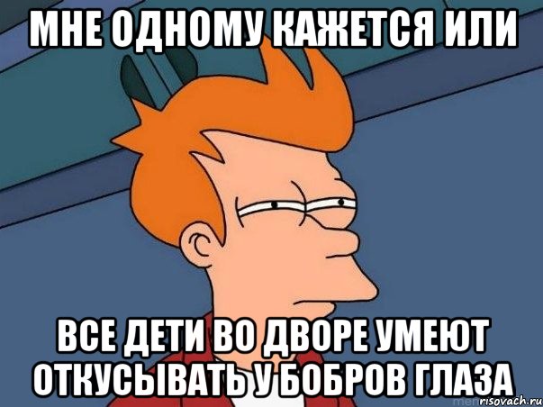 мне одному кажется или все дети во дворе умеют откусывать у бобров глаза, Мем  Фрай (мне кажется или)