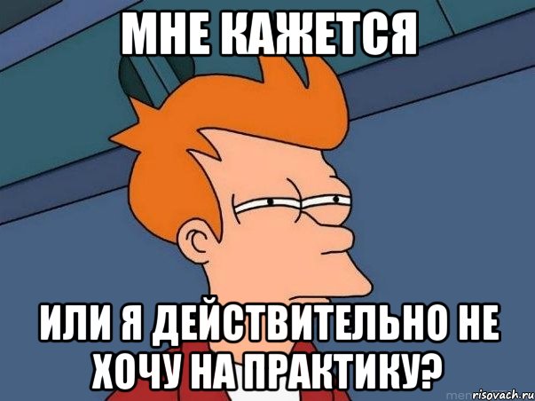 Мне кажется Или я действительно не хочу на практику?, Мем  Фрай (мне кажется или)