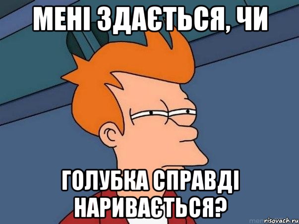 Мені здається, чи голубка справді наривається?, Мем  Фрай (мне кажется или)