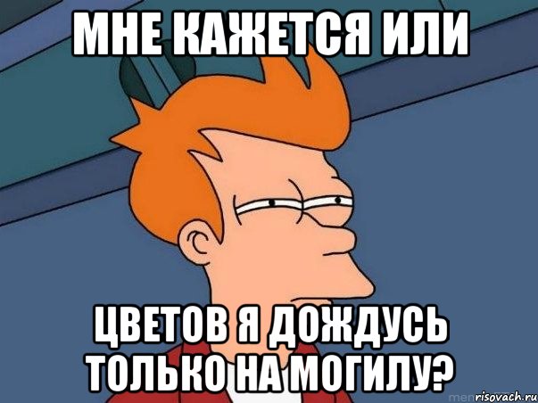 мне кажется или цветов я дождусь только на могилу?, Мем  Фрай (мне кажется или)