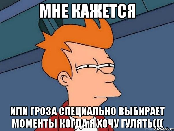 мне кажется или гроза специально выбирает моменты когда я хочу гулять(((, Мем  Фрай (мне кажется или)