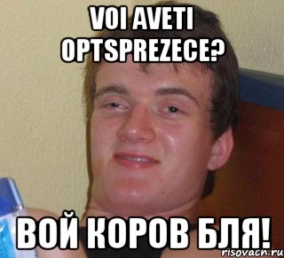 Voi aveti optsprezece? Вой КОРОВ бля!, Мем 10 guy (Stoner Stanley really high guy укуренный парень)