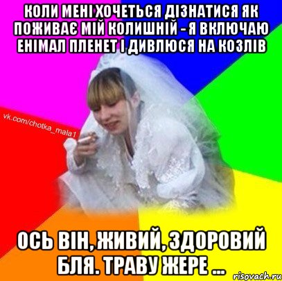 Коли мені хочеться дізнатися як поживає мій колишній - я включаю Енімал Пленет і дивлюся на козлів Ось він, живий, здоровий бля. Траву жере ...
