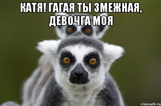 Катя! Гагая ты змежная, девочга моя 