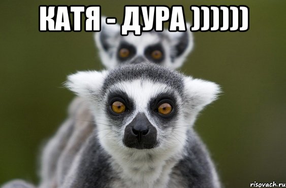 Катя - дура )))))) 