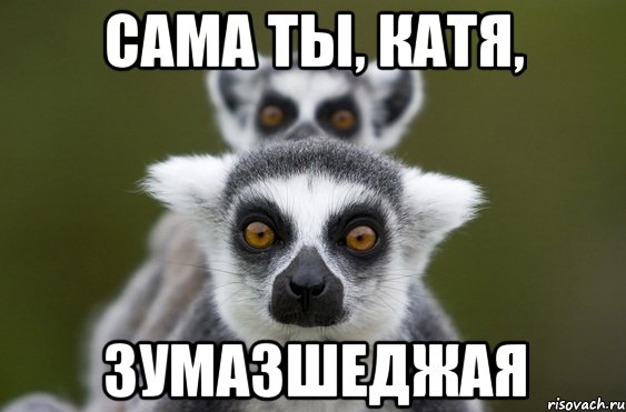 Сама ты, Катя, зумазшеджая