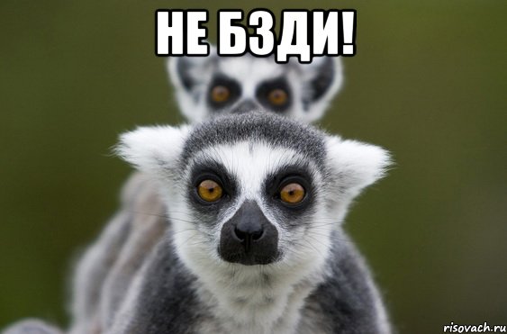 не бзди! 
