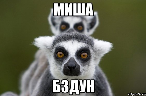 Миша Бздун