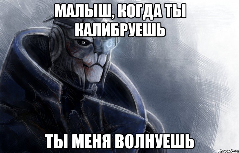 малыш, когда ты калибруешь ты меня волнуешь, Мем гаррус