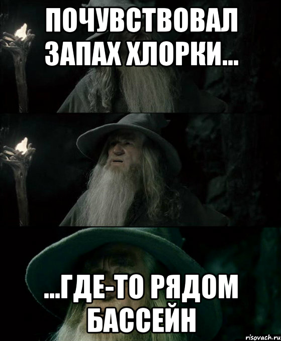 Почувствовал запах хлорки... ...где-то рядом бассейн, Комикс Гендальф заблудился