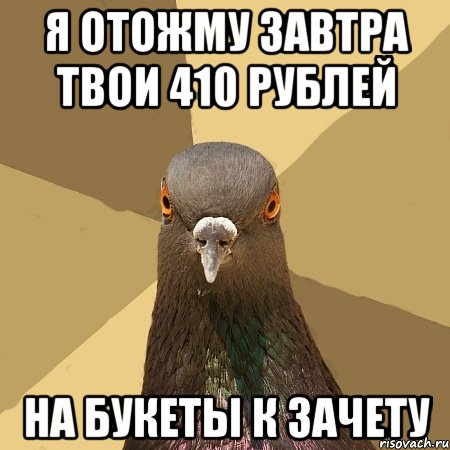 Я отожму завтра твои 410 рублей На букеты к зачету, Мем голубь