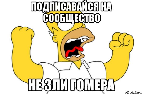 Homer 35 Телец Армавир Знакомства