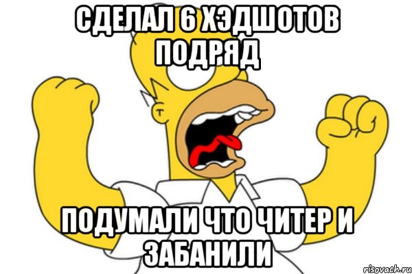 Сделал 6 хэдшотов подряд Подумали что читер и забанили, Мем Разъяренный Гомер