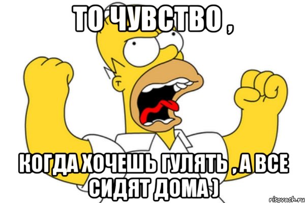 То чувство , Когда хочешь гулять , а все сидят дома ), Мем Разъяренный Гомер