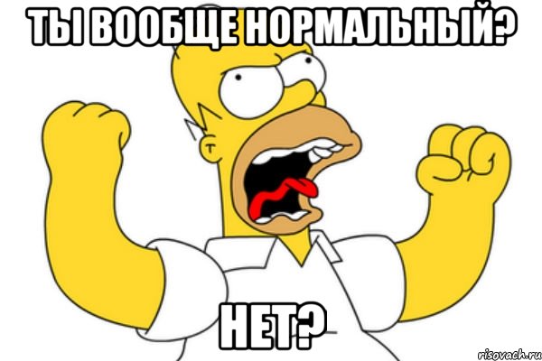 ТЫ ВООБЩЕ НОРМАЛЬНЫЙ? НЕТ?, Мем Разъяренный Гомер