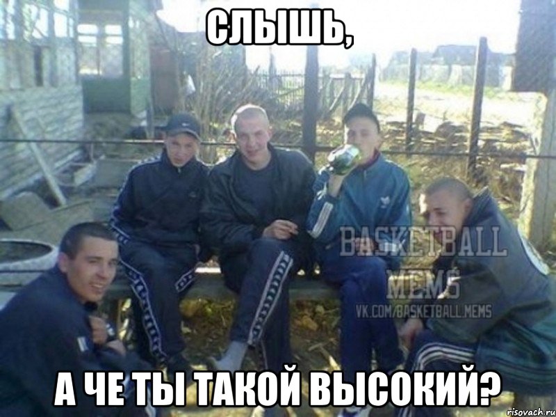 слышь, а че ты такой высокий?