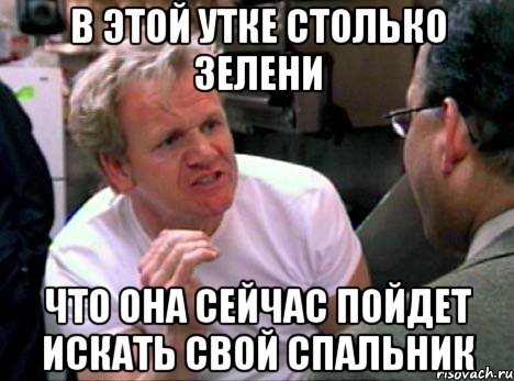 В ЭТОЙ УТКЕ СТОЛЬКО ЗЕЛЕНИ ЧТО ОНА СЕЙЧАС ПОЙДЕТ ИСКАТЬ СВОЙ СПАЛЬНИК