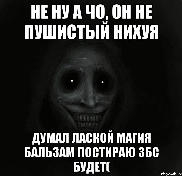 Не ну а чо, он не пушистый нихуя Думал лаской магия бальзам постираю збс будет(, Мем Ночной гость