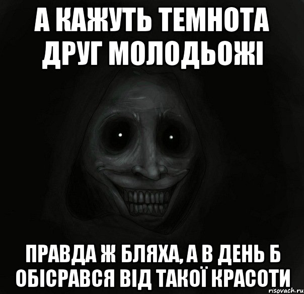 А КАЖУТЬ ТЕМНОТА ДРУГ МОЛОДЬОЖІ ПРАВДА Ж БЛЯХА, А В ДЕНЬ Б ОБІСРАВСЯ ВІД ТАКОЇ КРАСОТИ, Мем Ночной гость