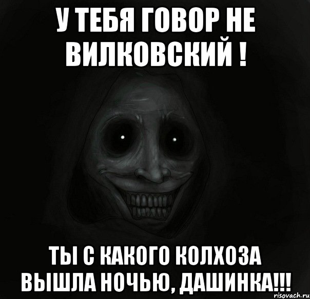 у тебя говор не вилковский ! ты с какого колхоза вышла ночью, Дашинка!!!, Мем Ночной гость