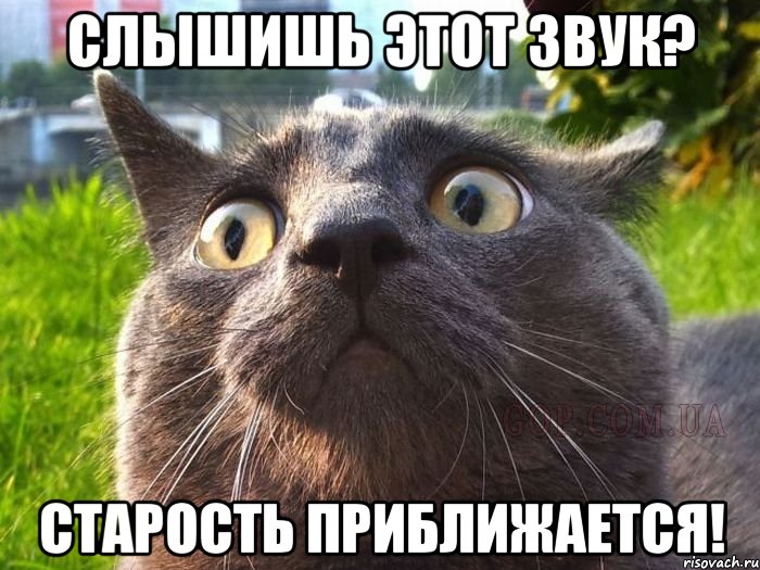 слышишь этот звук? СТАРОСТЬ ПРИБЛИЖАЕТСЯ!