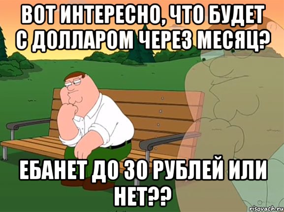 Вот интересно, что будет с долларом через месяц? Ебанет до 30 рублей или нет??, Мем Задумчивый Гриффин