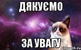 Дякуємо за увагу, Мем grumpy cat space