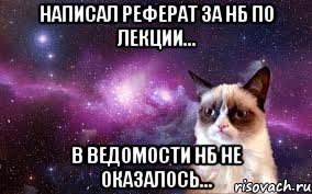 Написал реферат за нб по лекции... В ведомости нб не оказалось..., Мем grumpy cat space