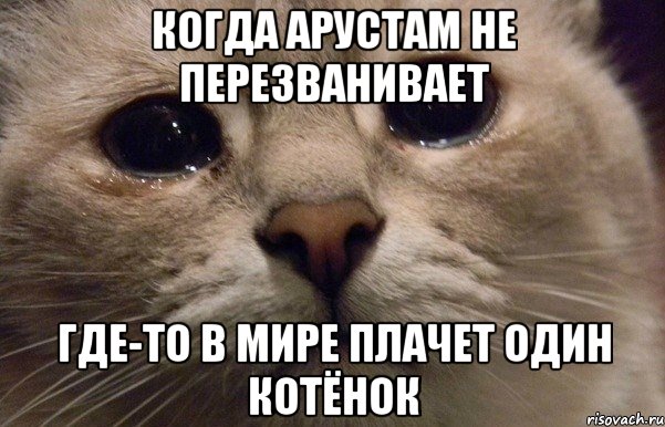 Когда Арустам не перезванивает Где-то в мире плачет один котёнок, Мем   В мире грустит один котик