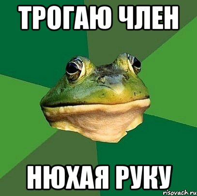 Трогаю член Нюхая руку
