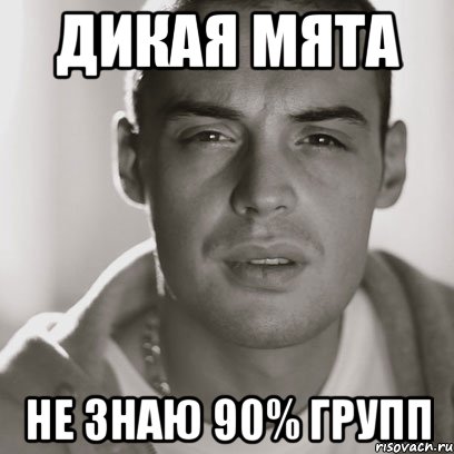 Дикая мята Не знаю 90% групп, Мем Гуф