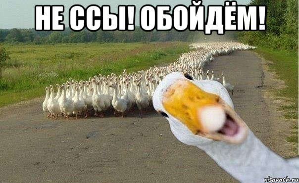 НЕ ССЫ! ОБОЙДЁМ! , Мем гуси