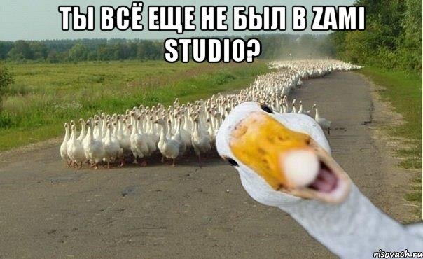 Ты всё еще не был в Zami Studio? , Мем гуси