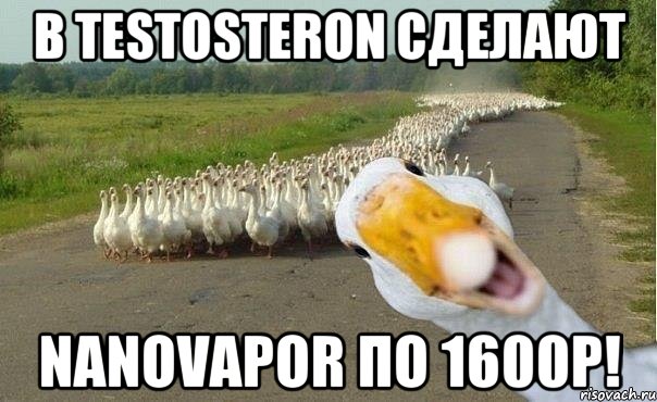 В TESTOSTERON сделают nanoVapor по 1600р!, Мем гуси