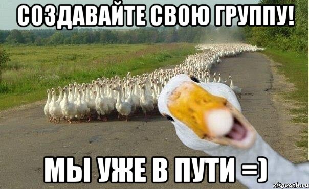 Создавайте свою группу! Мы уже в пути =), Мем гуси