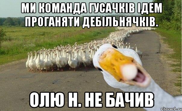 Ми команда гусачків ідем проганяти дебільнячків. Олю Н. не бачив, Мем гуси