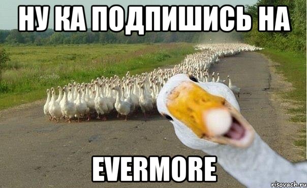 Ну ка подпишись на EVERMORE, Мем гуси