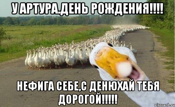 У АРТУРА.день рождения!!!! нефига себе,С ДЕНЮХАЙ ТЕБЯ ДОРОГОЙ!!!!!, Мем гуси