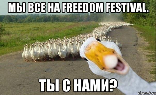 Мы все на FREEDOM FESTIVAL. ты с нами?, Мем гуси