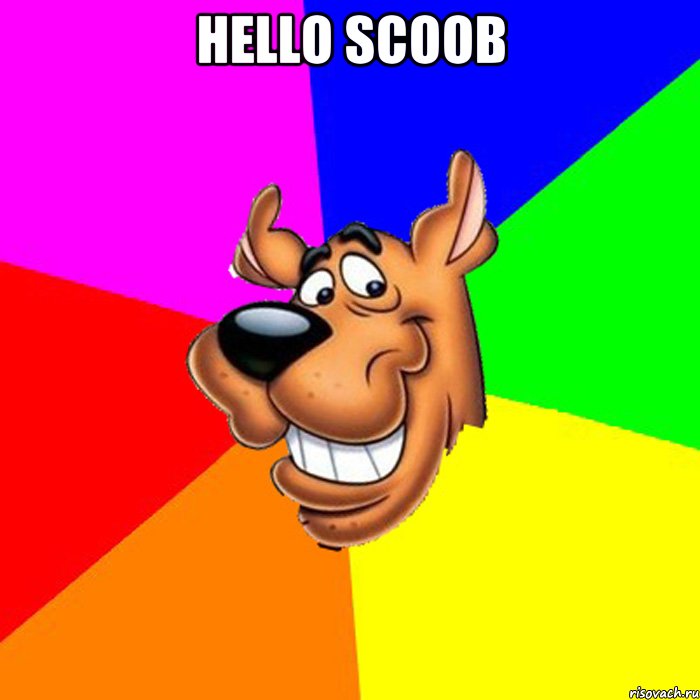 Hello scoob 