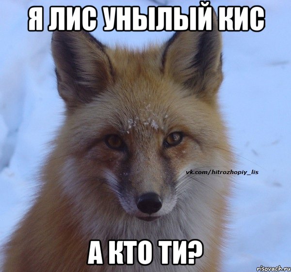 Я лис унылый кис а кто ти?