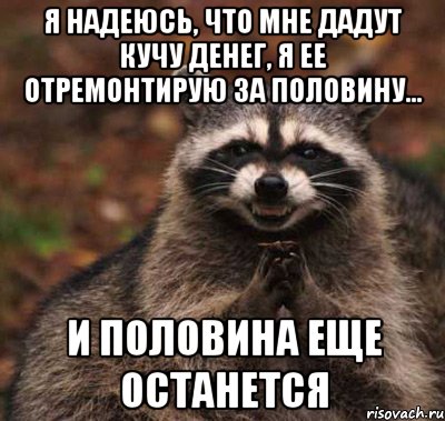 Я надеюсь, что мне дадут кучу денег, я ее отремонтирую за половину... и половина еще останется, Мем  Хитрый енот