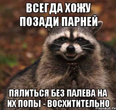 Всегда хожу позади парней Пялиться без палева на их попы - восхитительно, Мем  Хитрый енот