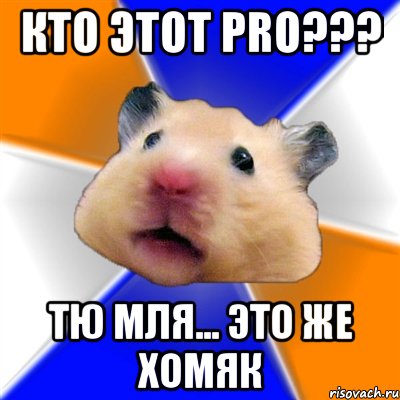 Кто этот PRO??? Тю мля... Это же ХОМЯК, Мем Хомяк