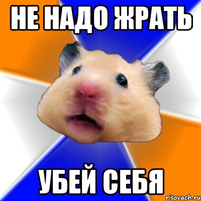 Не надо жрать Убей себя, Мем Хомяк