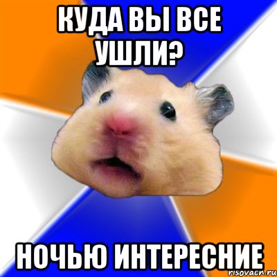 куда вы все ушли? ночью интересние, Мем Хомяк