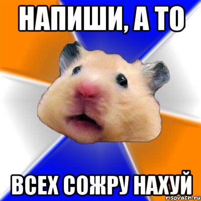 напиши, а то ВСЕХ СОЖРУ НАХУЙ, Мем Хомяк