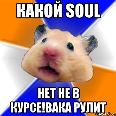 какой soul нет не в курсе!вака рулит, Мем Хомяк