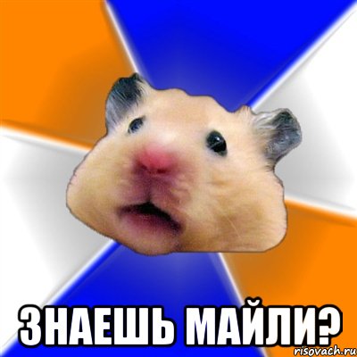  ЗНАЕШЬ МАЙЛИ?, Мем Хомяк